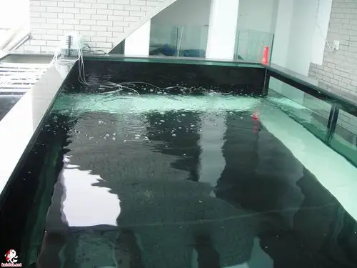 来学习下百折不挠的司马光做屋顶鱼池!(佩服福州这哥们)