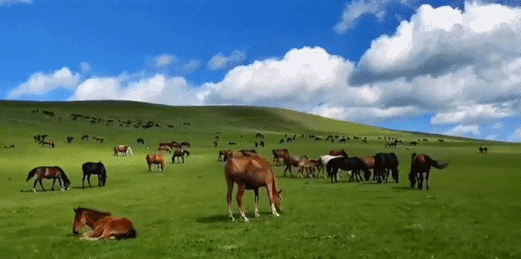 549_273gif 动态图 动图