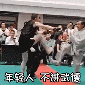 频上热搜!我迷上了马保国._功夫