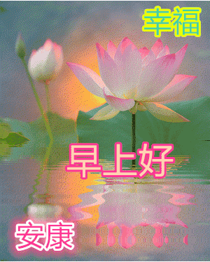 早安,兄弟姐妹,愿你这天好情绪,生活工作都舒心!