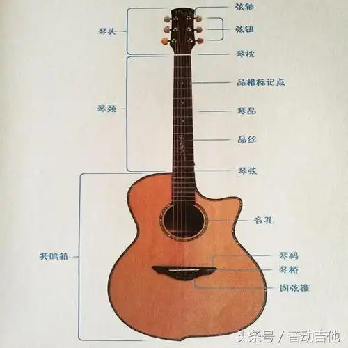 吉他的种类 吉他简单分为:古典吉他,电吉他,民谣吉他.