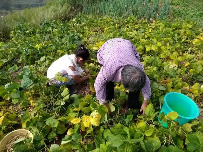 [武川林]开心暑假,收获满满!