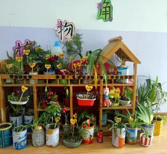 2017年春季双阳幼儿园开展班级种植区评比活动
