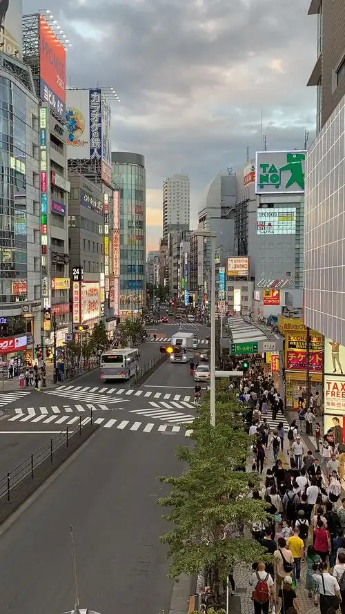 19年9月8日在日本东京,(新宿,原宿,涩谷,池袋,)