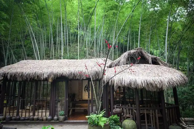 青山绿水竹林听泉,里南大山过向往的生活