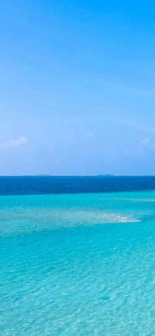 iphone13pro手机壁纸(iphone13及promax系列手机壁纸)(16)