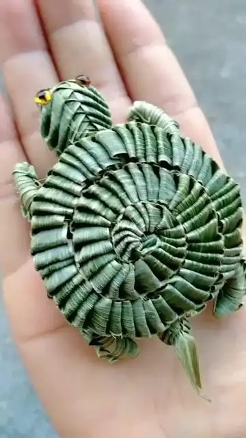 纯手工棕叶编织乌龟,真是太可爱了,好喜欢