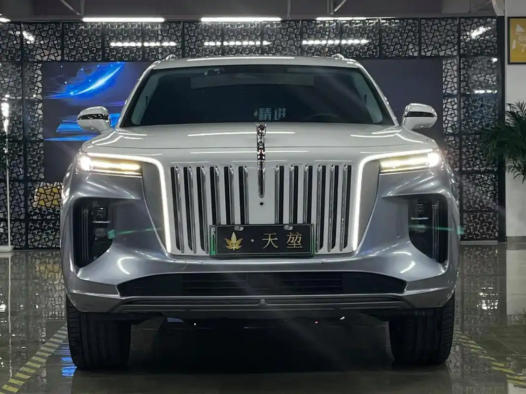 红旗e-hs9 2021款 510km 旗畅版 六座