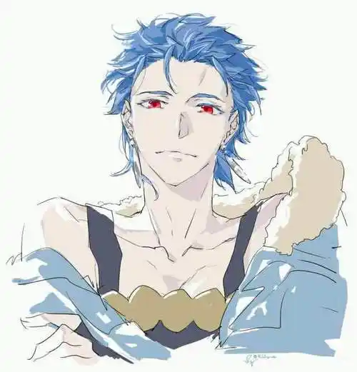 法狗,fate cuchulain 库丘林