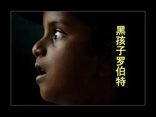 黑孩子罗伯特第二课时ppt