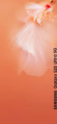 曲面壁纸上一波