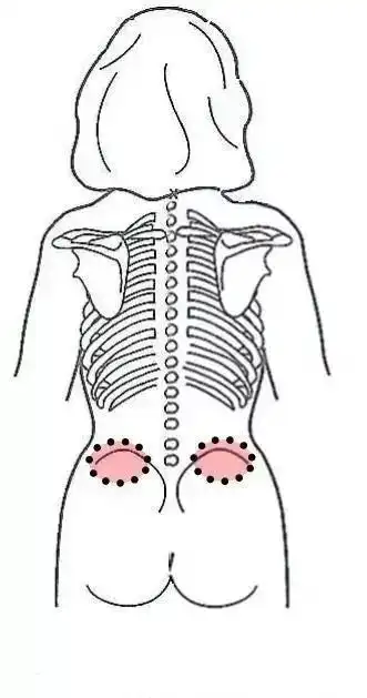 由于解剖上的位置特殊,治疗上过去常被忽视,腰腿痛患者治疗到一定时期