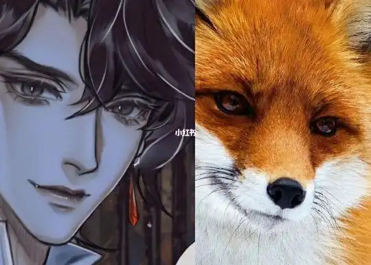 笑得像只狐狸.