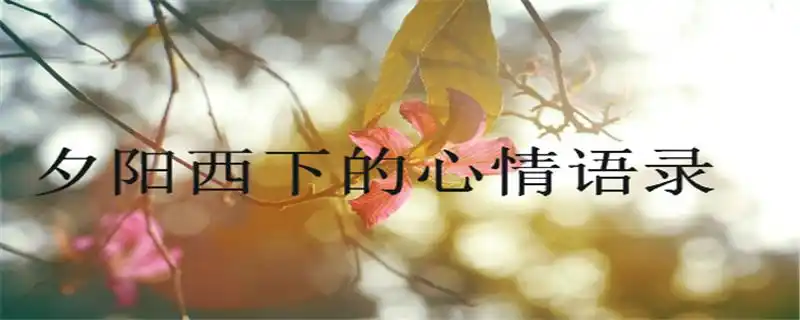 盘点夕阳西下的心情语录,适合发日落的朋友圈