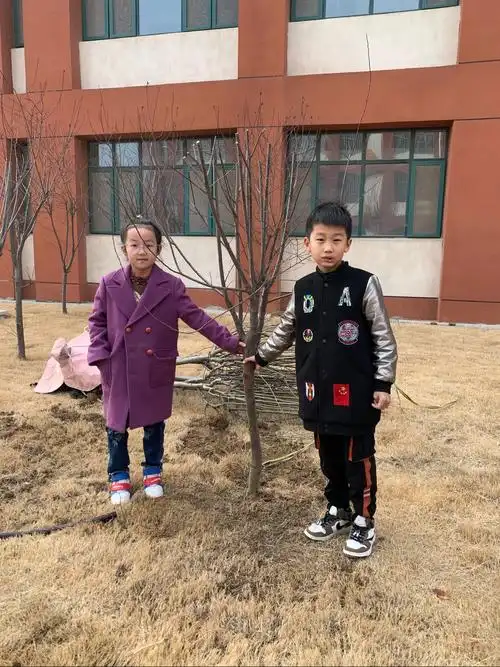 把绿色种在春天里——星源小学二年级学生植树实践活动