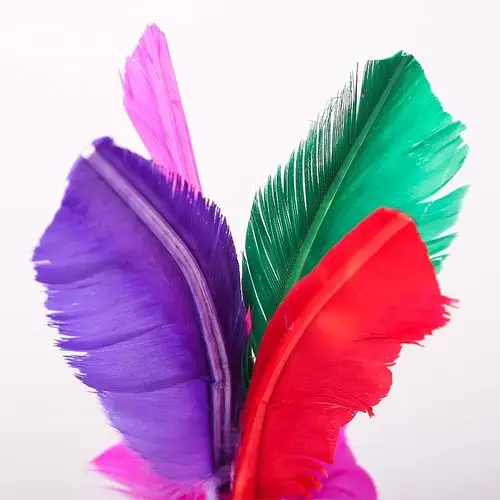 羽毛毽子健身小学生比赛专用鸡毛键耐鹅毛踢花毽子