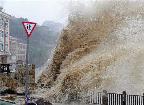 诗词: 战台风利奇马