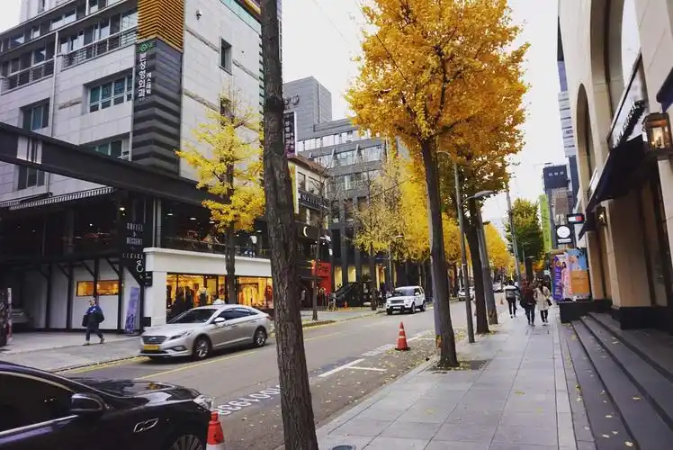 一下车就开始拍拍拍银杏 新沙洞林荫道