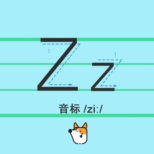 字母zz学习