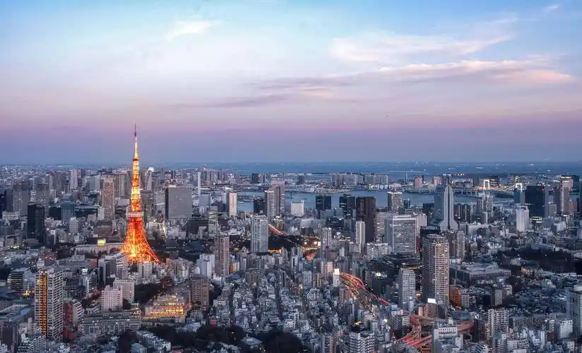 高空俯瞰东京全景,建筑密集而精致,超高层大楼却不多_城市_天空_进行
