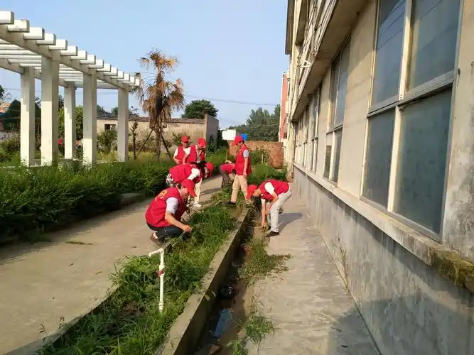 沙河店镇初中党员教师志愿者清洁校园活动