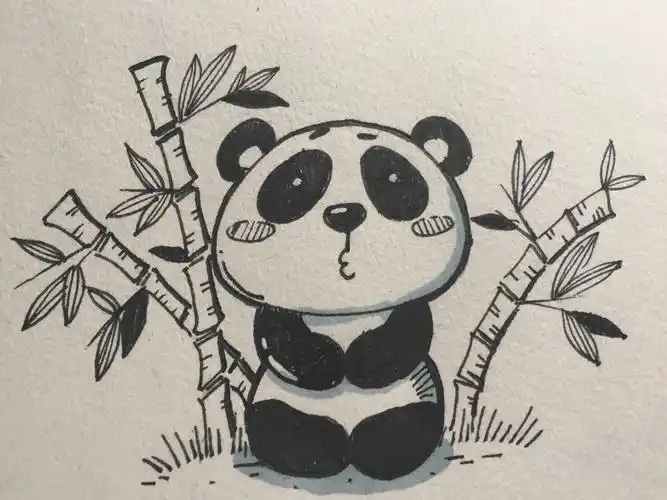 每天坚持画画|简笔画练习大熊猫q版