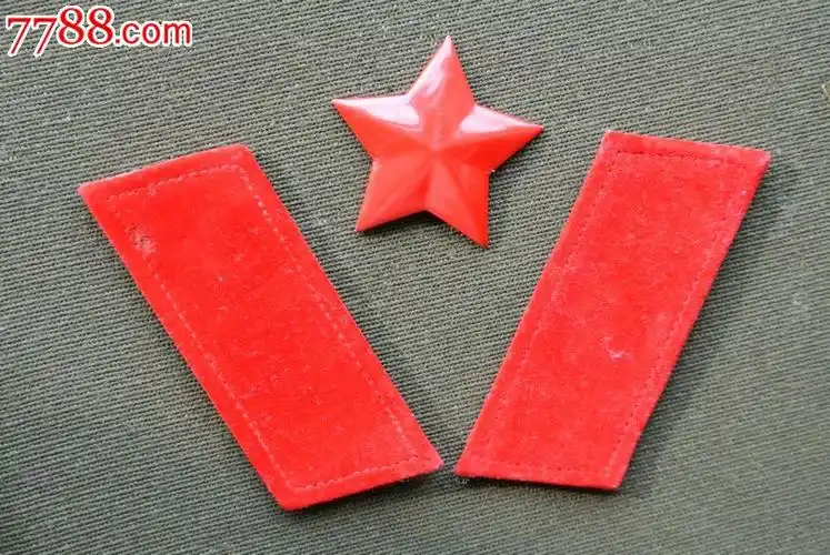 全新65式扎线领章,五星帽徽