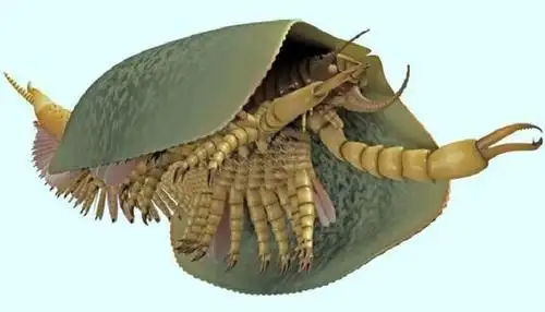 10个超猎奇史前生物,网友:还好它们已经绝种