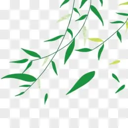 树叶装饰元素pngpsd手绘卡通柳树大雁柳叶免抠元素pngai手绘绿色垂