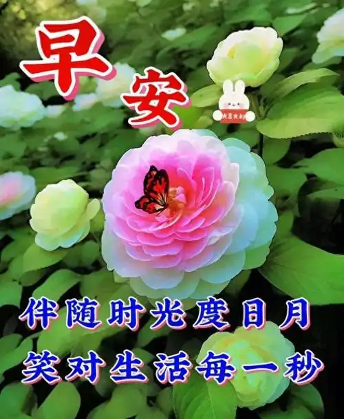 早安心语早安问候图片早上好祝福语