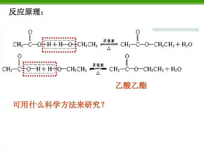 反应原理: 乙酸乙酯 可用什么科学方法来研究?