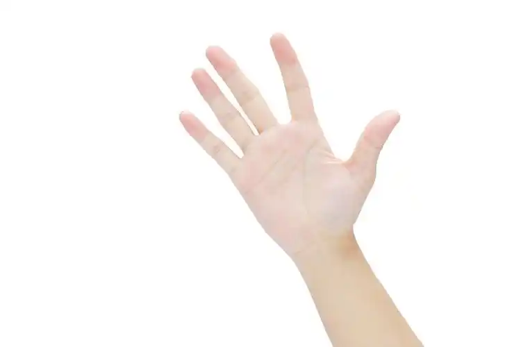 白底手势人物手势一只手张开手掌
