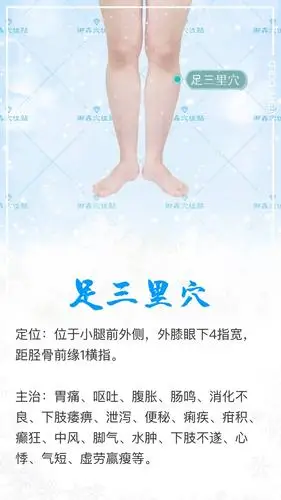 足三里的作用和好处