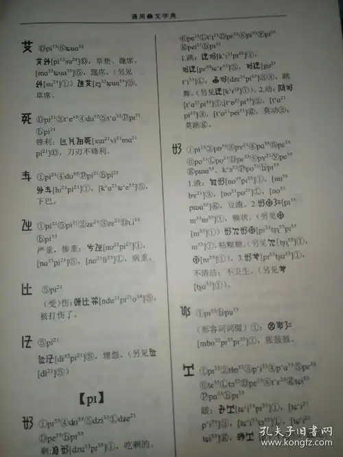 通用彝文字典