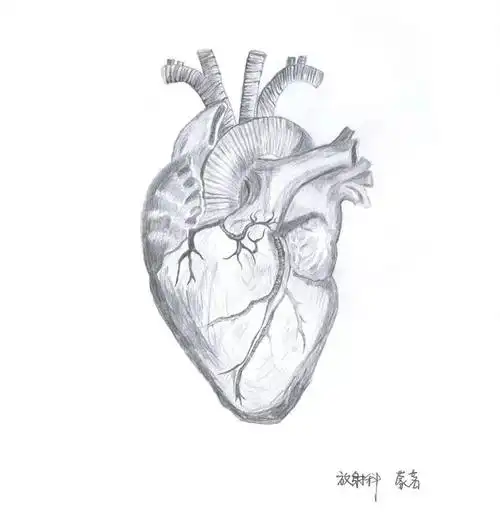 看到这些手绘人体解剖图瞬间觉得医学和艺术之间的距离是如此之近