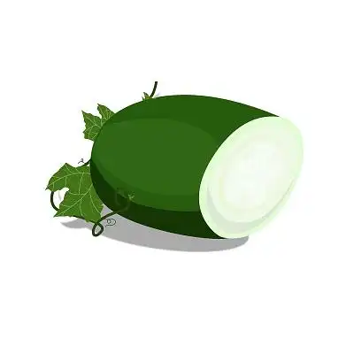 平面矢量插画蔬菜冬瓜冬瓜蔬菜元素