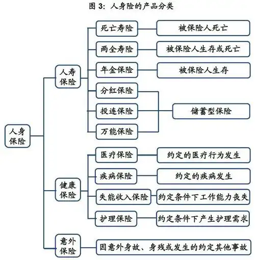 海通非银孙婷团队保险产品购买指南