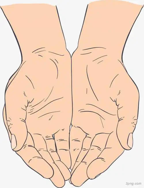 简约手绘双手矢量图png素材透明免抠图片-卡通手绘