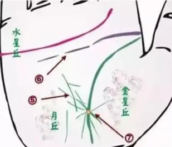 金星丘,月丘见斑点,多是肝病并发黄疸现象.中医,养生,健康,疾病,手