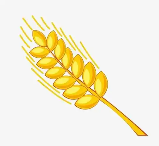 高清稻穗简笔画 最新稻穗简笔画图片