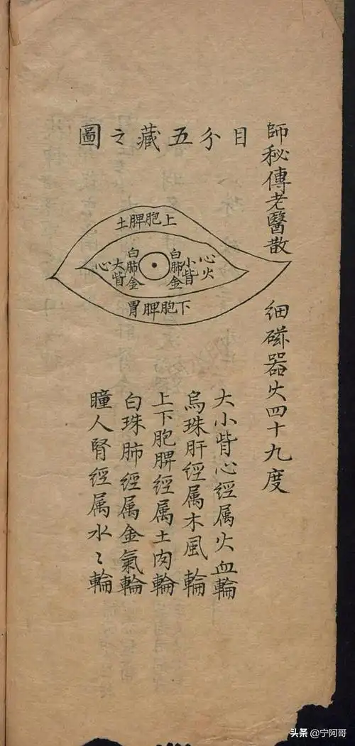 古籍医书目诊通过眼睛辨别病症的医书年代作者不详