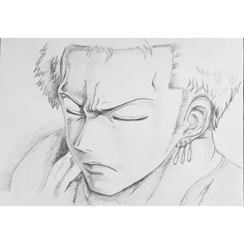 对海贼王的喜欢不管过多久都不会淡呐