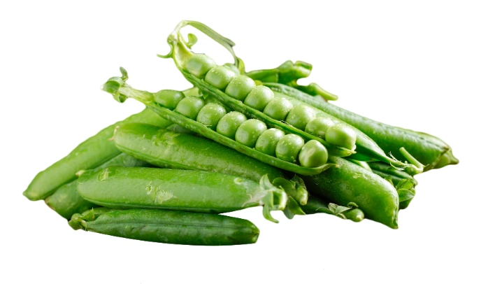 青豆发芽能吃吗 青豆发芽了还可以吃吗 - 天气网