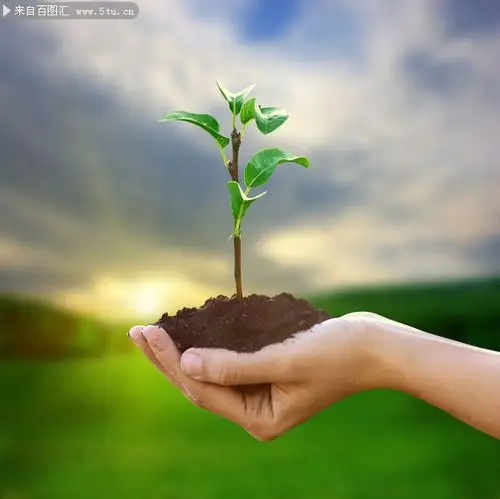 手捧小树苗环保主题素材