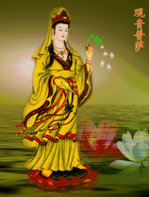 484_638竖版 竖屏gif 动态图 动图