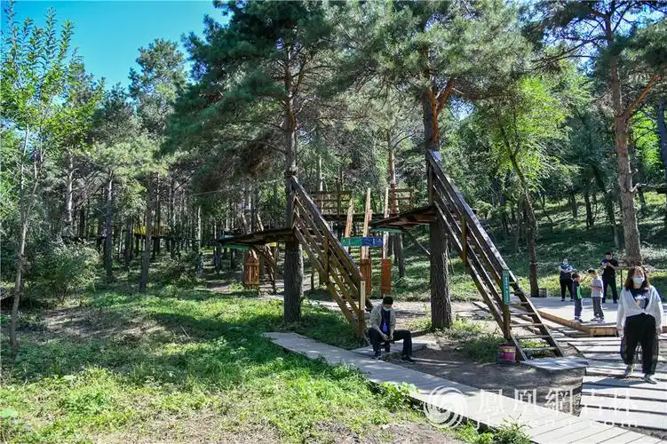 中国·长春净月潭森林探险乐园游乐设施.