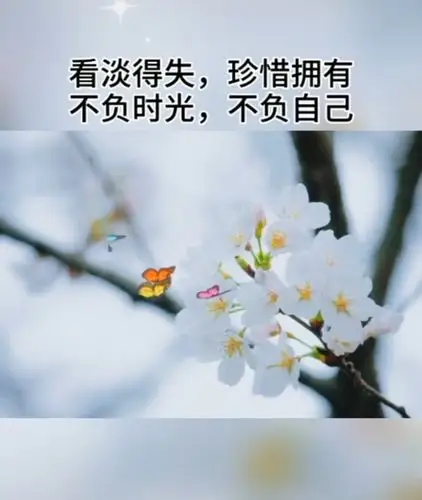 愿岁月静好 不负时光 —— "停课不停学",401班空中课堂学习进行中