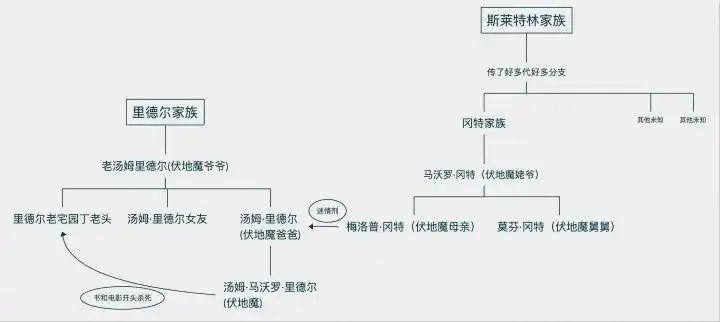 哈利波特与火焰杯中开头写的里德尔一家,跟伏地魔有什么关系?
