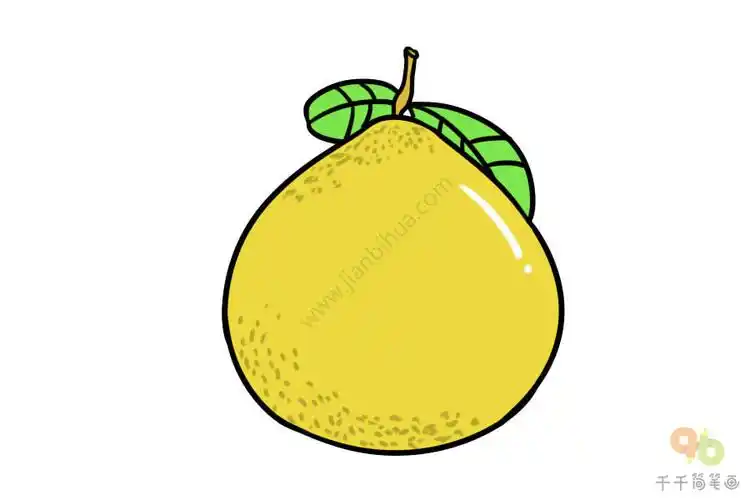 黄澄澄的柚子简笔画