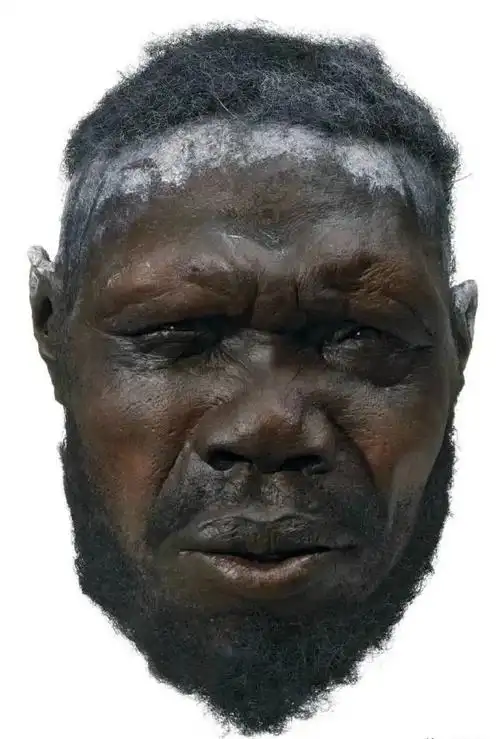 诞谈中国人的鼻子